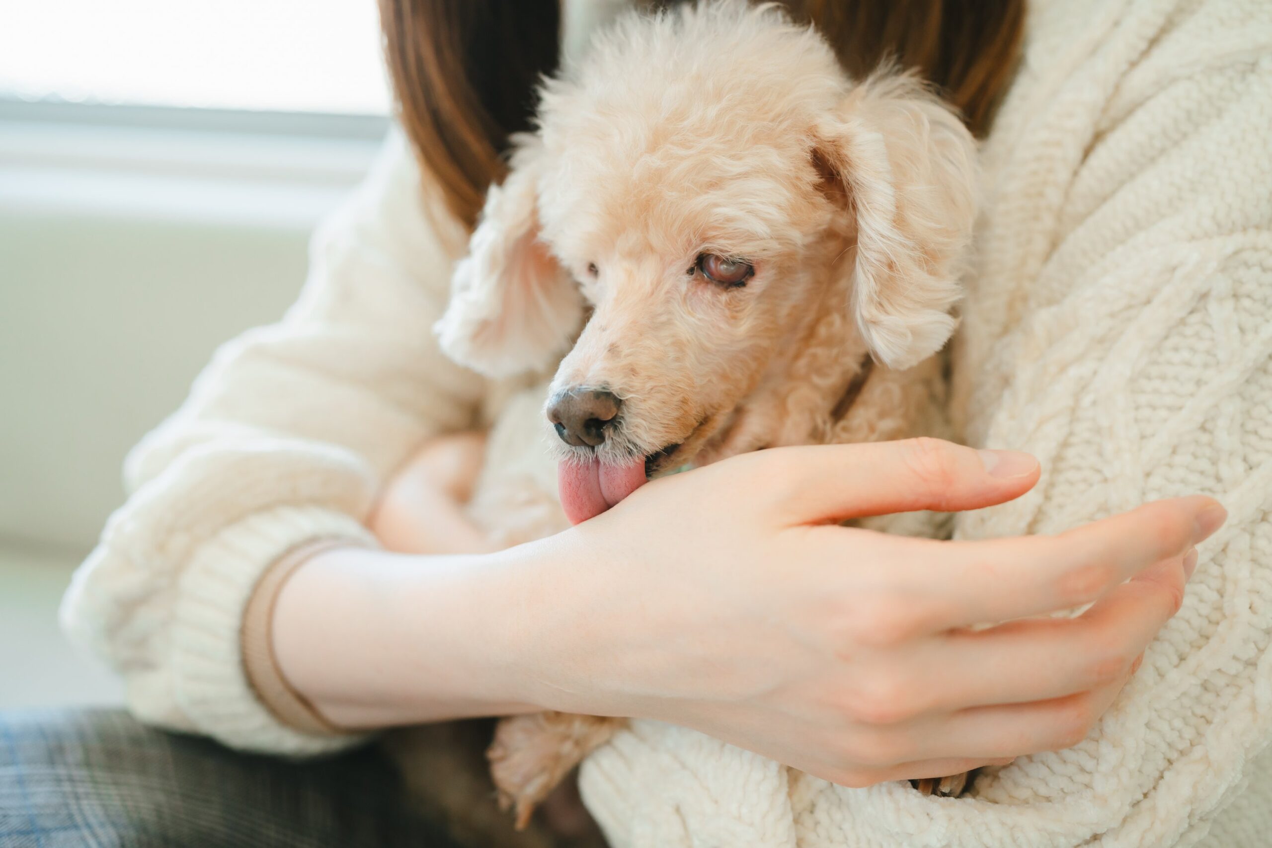 飼い主さまに寄り添う、丁寧でわかりやすい診療